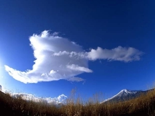 高一英语陈老师