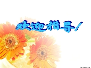 《槐乡五月》第二课时教学课件