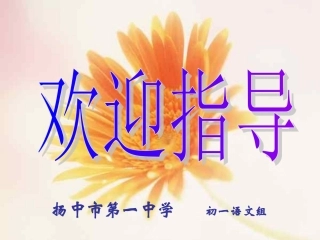作文训练（说真话）