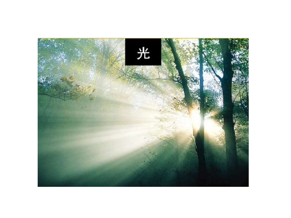 光和影聂佳com_第2页