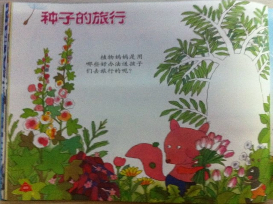 大班语言：种子的旅行_第2页