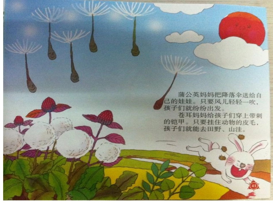 大班语言：种子的旅行_第3页