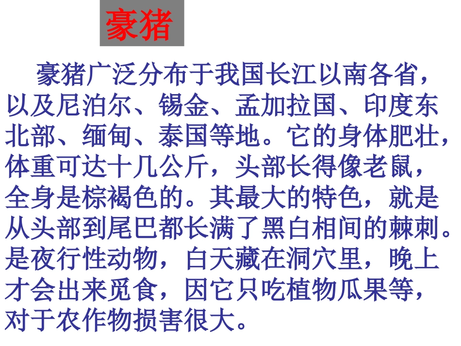 森林中的绅士_第3页