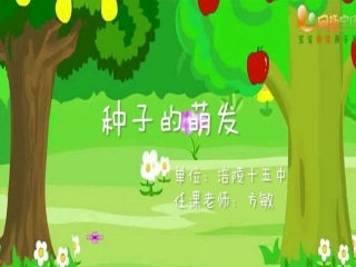 初中生物-种子的萌发-上课
