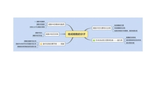 组成细胞的分子知识导图