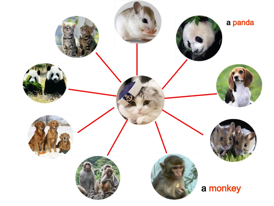 四上活动课第一课时_第3页