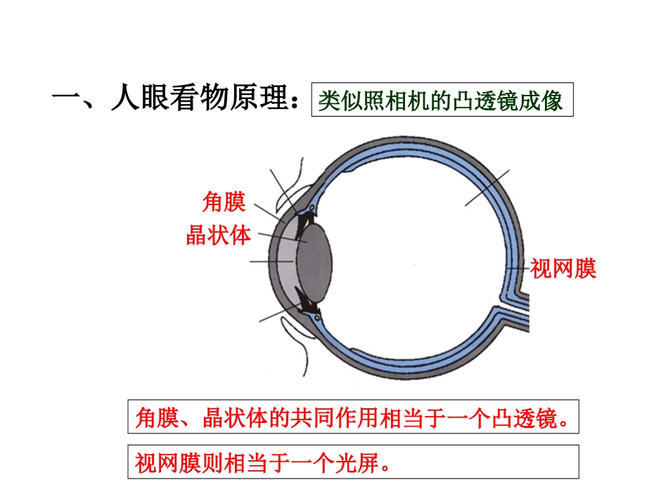 第四节眼睛和眼镜_第2页