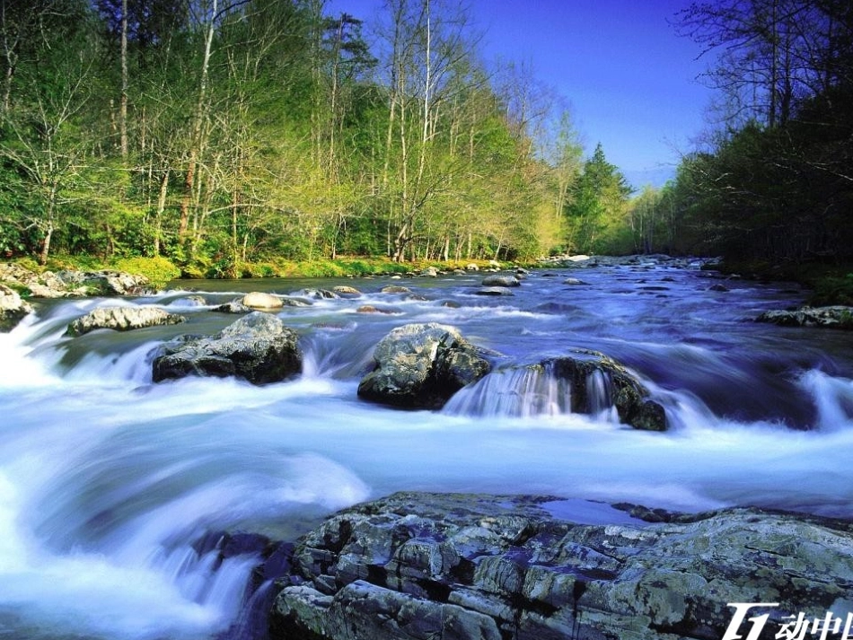 《蝉》教学课件_第2页