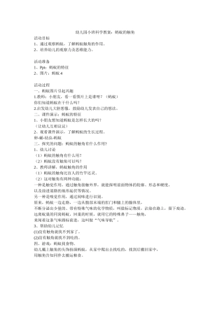 小班科学：蚂蚁的触角