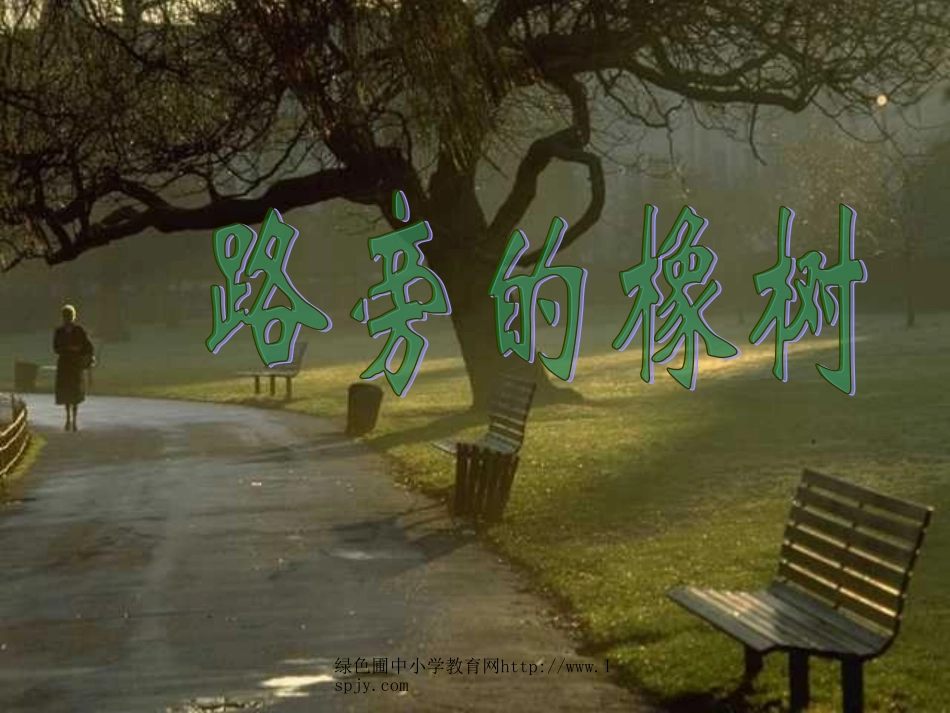 人教版三年级语文下册《路旁的橡树》课件PPT_第1页