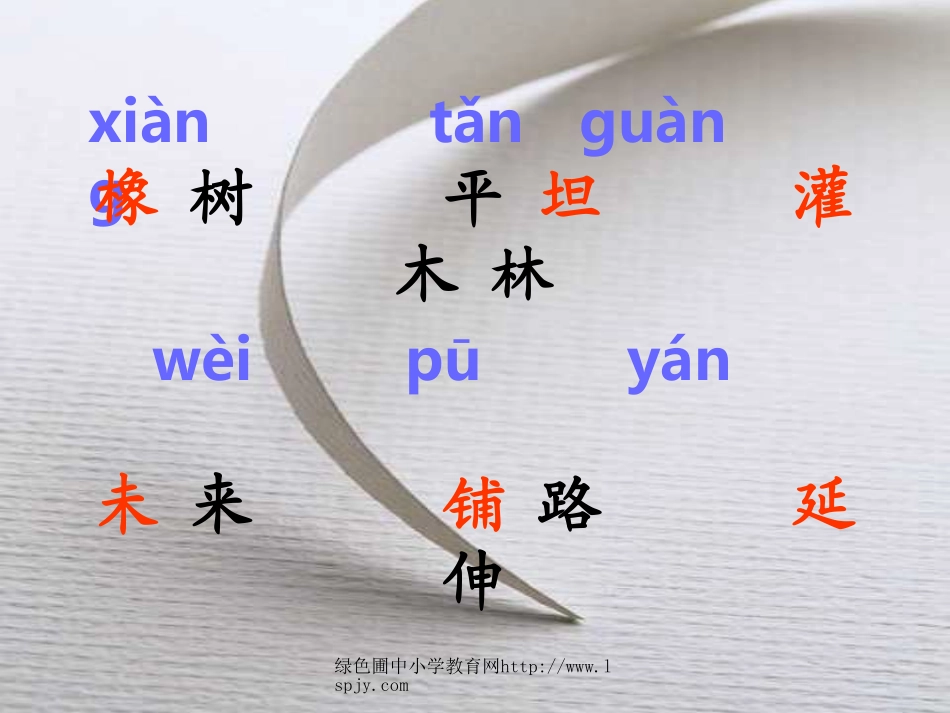 人教版三年级语文下册《路旁的橡树》课件PPT_第3页