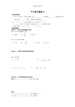 平方根专题复习