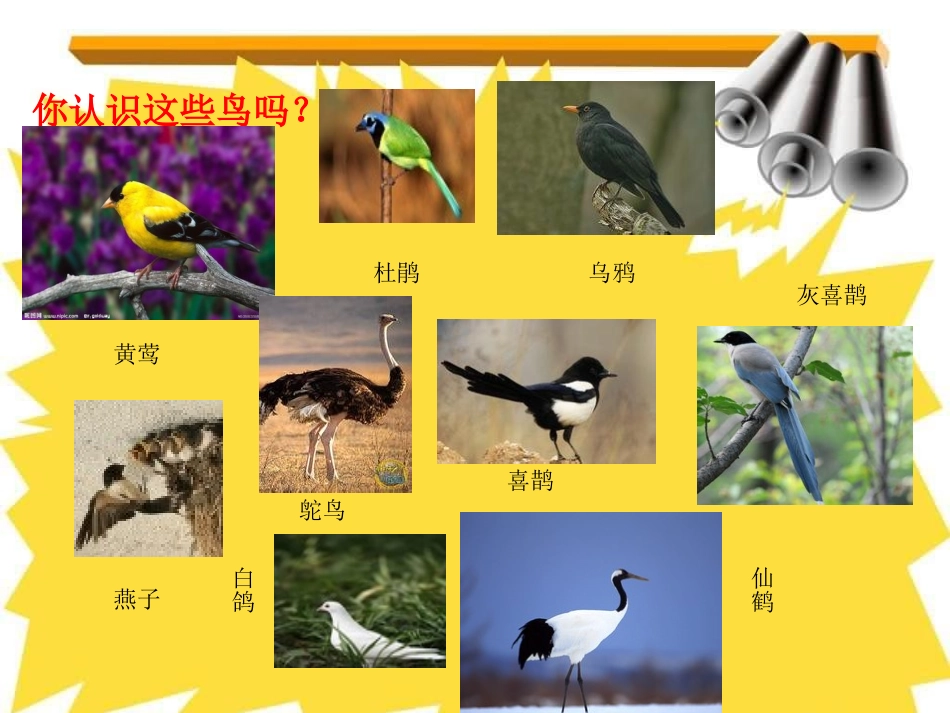 语文乐园(二)_第2页
