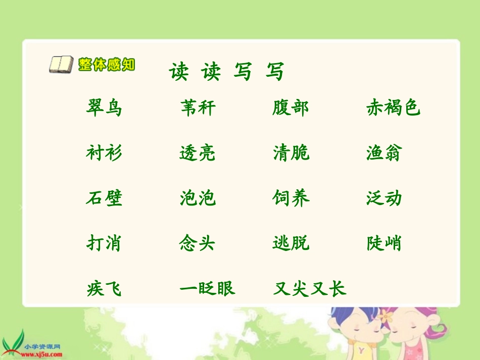 翠鸟课件(人教版语文三年级下册)_第3页