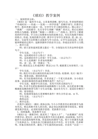 琥珀教学案例
