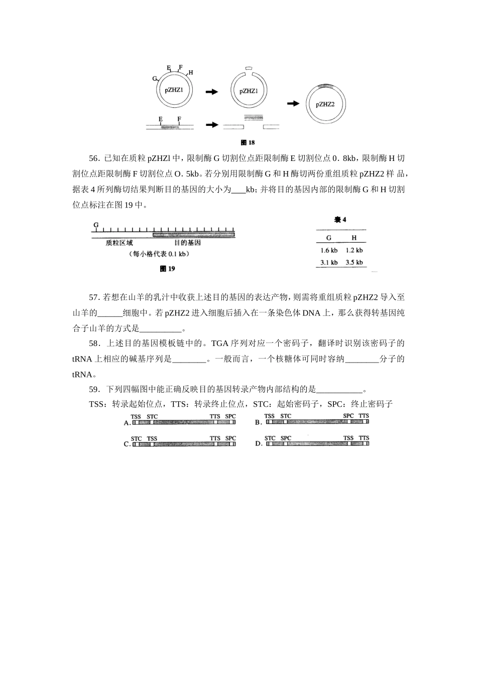 上海高考遗传题整理_第2页