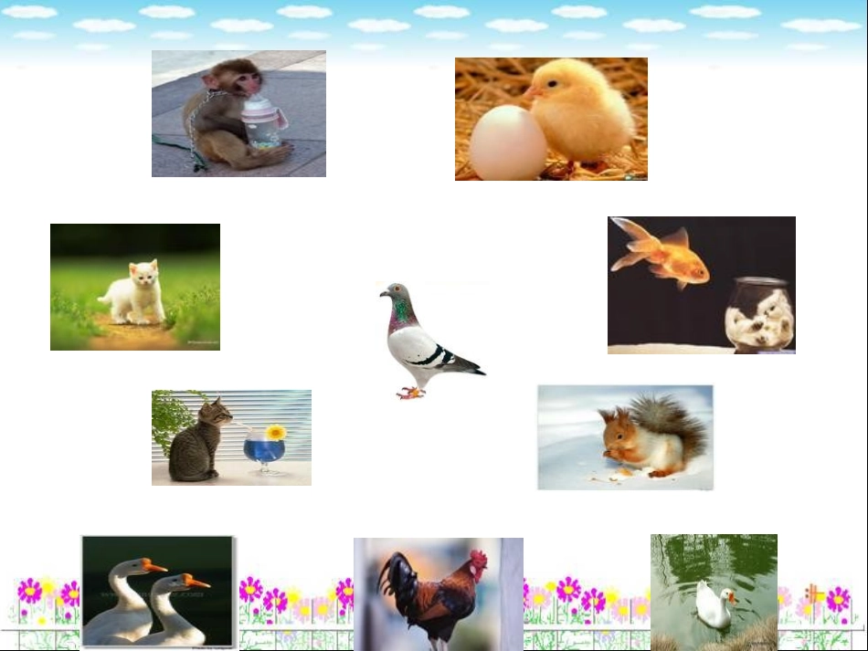 苏教版五年级上册习作二_第2页