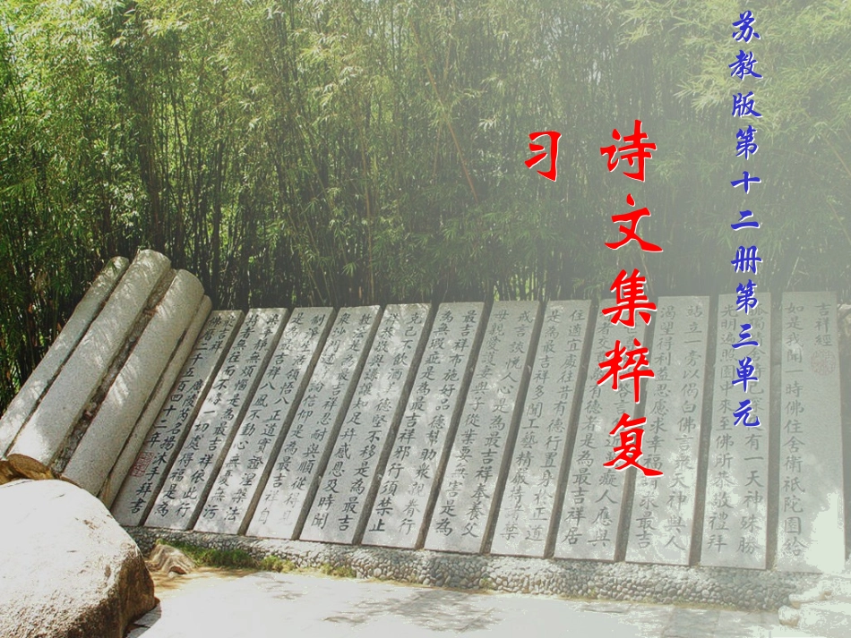 十二册第三单元复习课课件_第1页