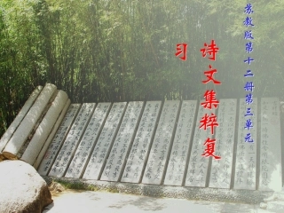 十二册第三单元复习课课件