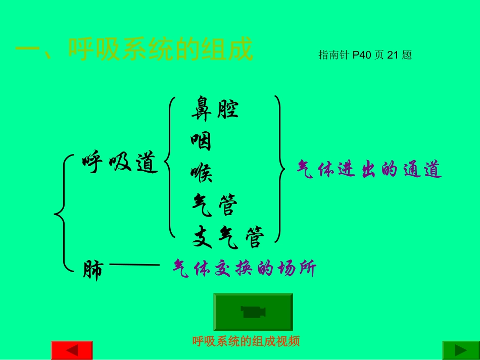 第六课时人体与外界的气体交换_第3页
