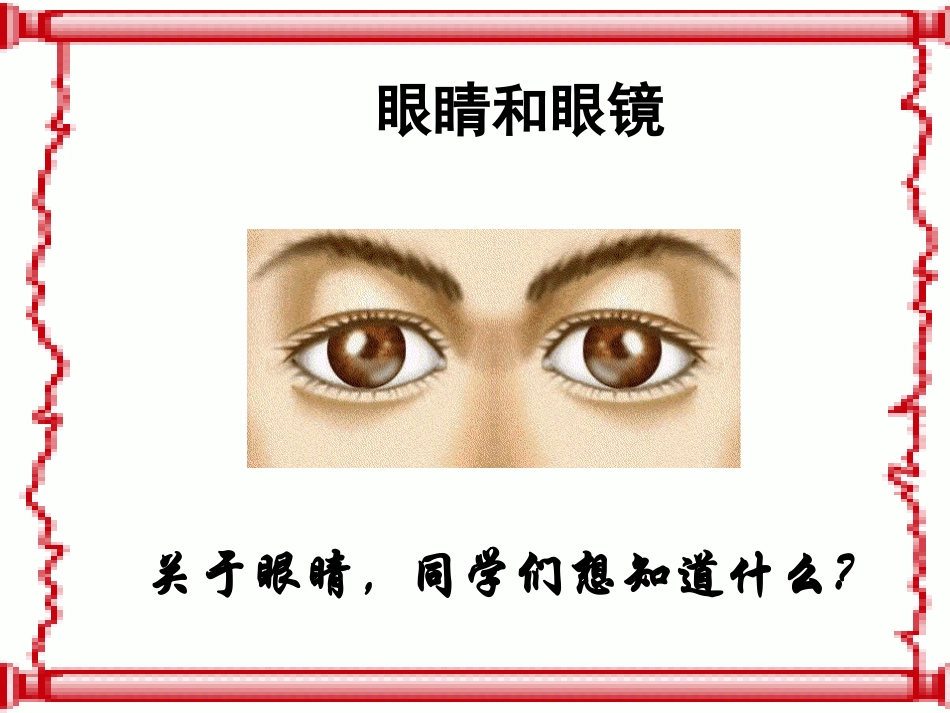 眼睛和眼镜_课件_第2页
