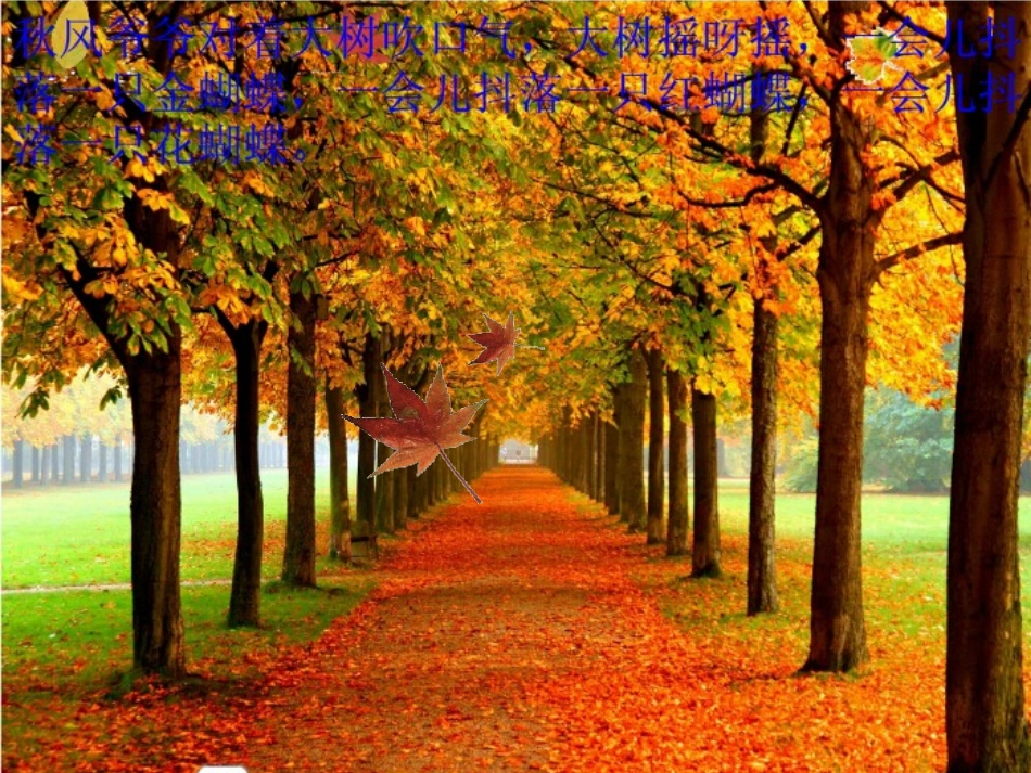 大班散文《秋天真美丽》_第3页