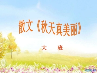 大班散文《秋天真美丽》