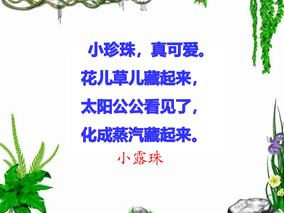 小露珠第一课时_第1页