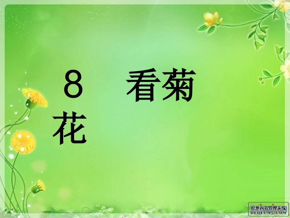 看菊花公开课PPT_第1页