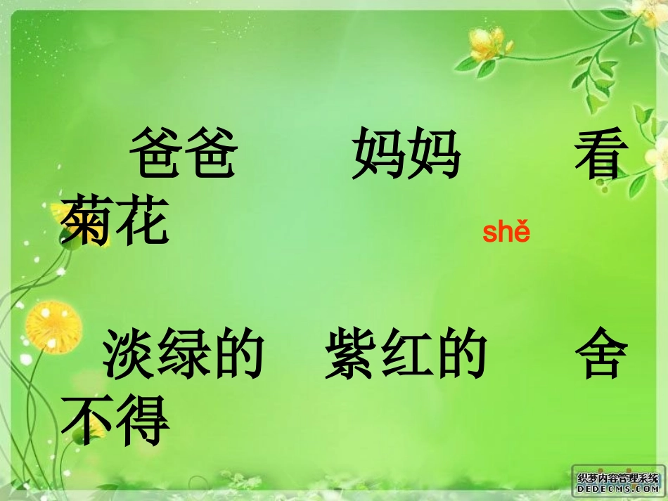 看菊花公开课PPT_第2页