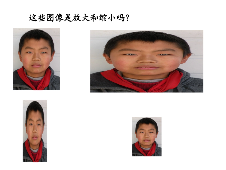 _图形的放大与缩小_第3页