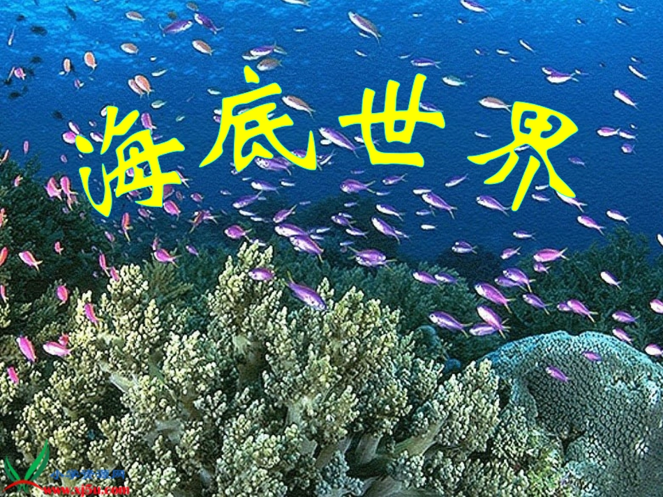 《海底世界》PPT之一课件(苏教版三年级语文下册课件)_第1页