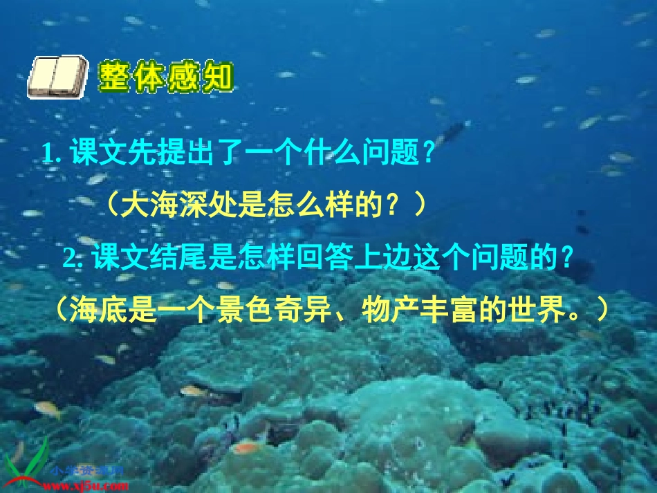 《海底世界》PPT之一课件(苏教版三年级语文下册课件)_第3页