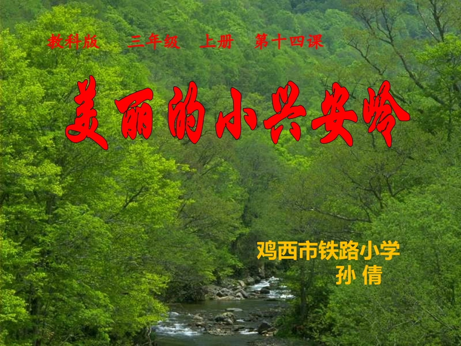 美丽的小兴安岭课件_第1页