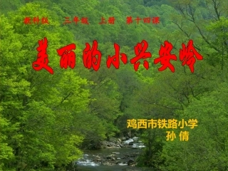 美丽的小兴安岭课件