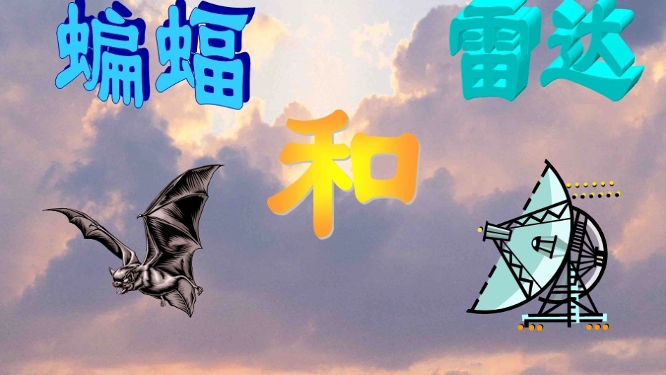 蝙蝠和雷达修改后_第1页