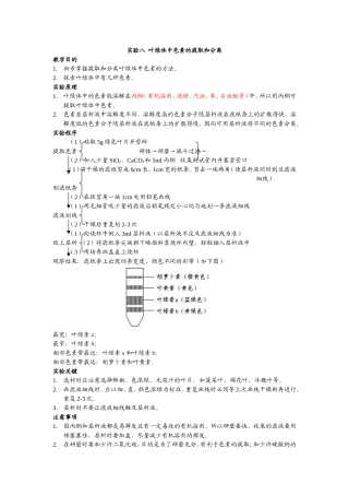 高中生物必修一实验八__叶绿体中色素的提取和分离