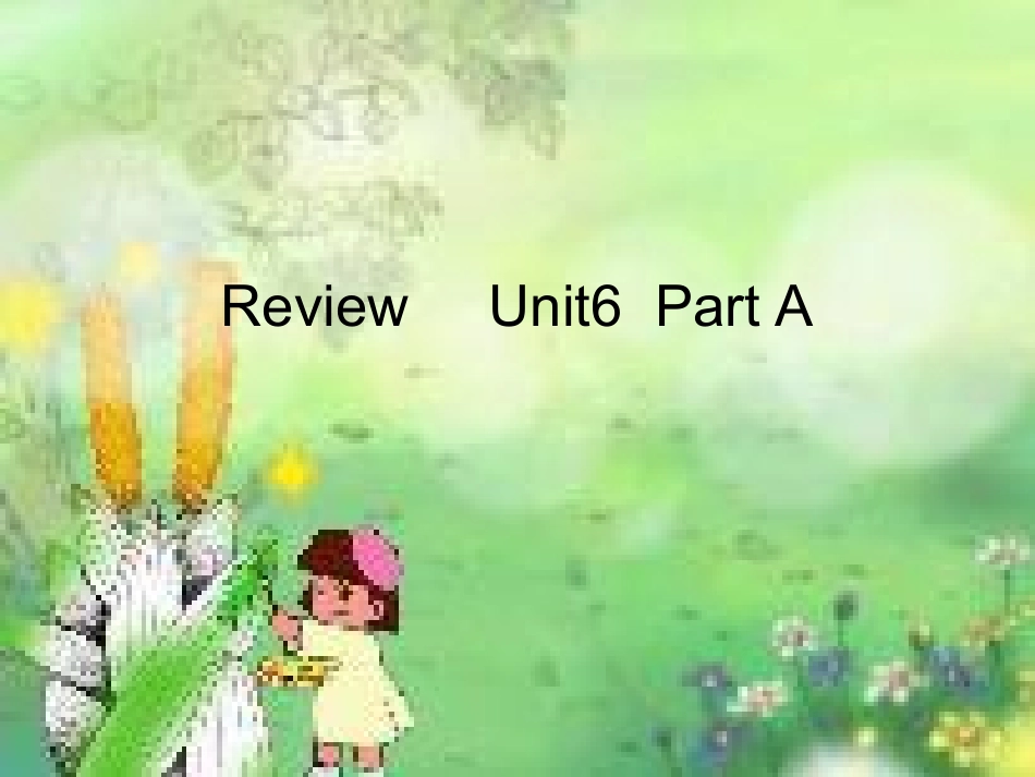 亚敏复习课件_第1页