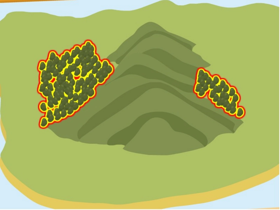 亚敏复习课件_第2页