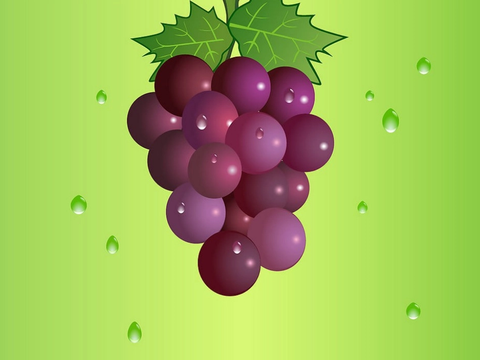 课件大班语言秋天的水果_第3页