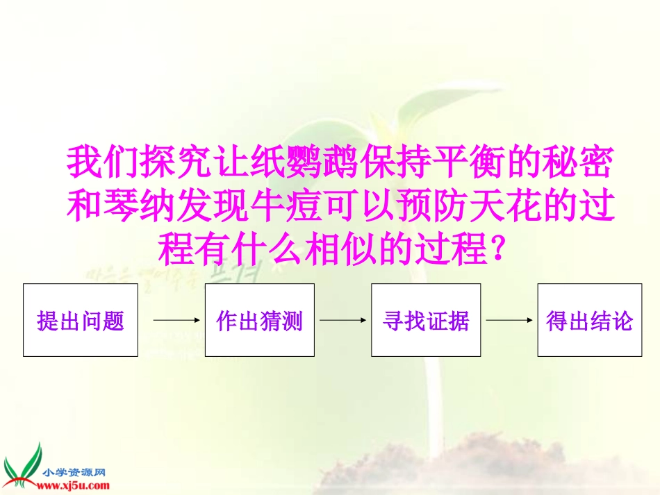苏教版小学科学三年级上册《做一名小科学家》课件_第3页