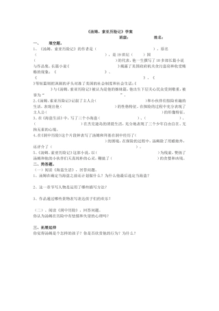 《汤姆。索亚历险记》学案