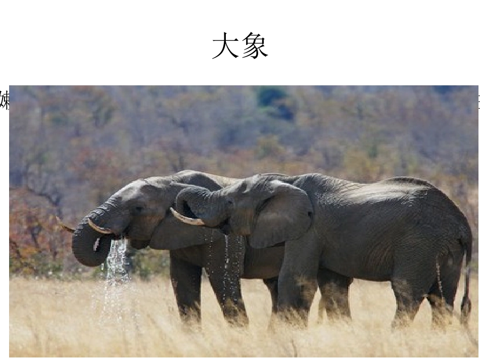 幼儿园语言活动幻灯片_第2页