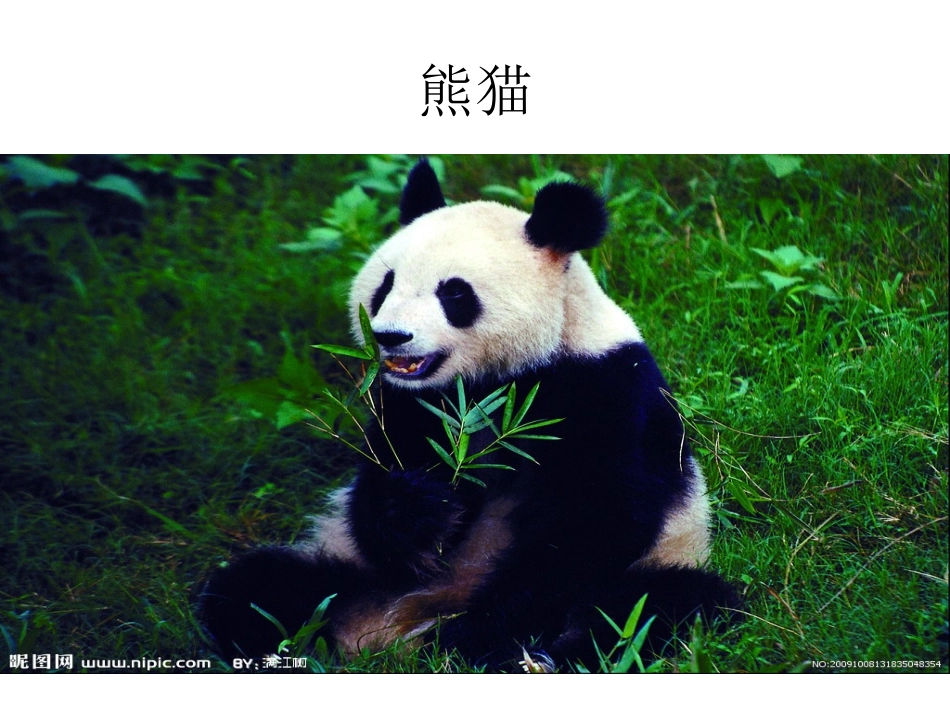 幼儿园语言活动幻灯片_第3页