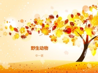 幼儿园语言活动幻灯片