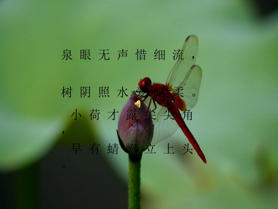 爱莲说（诵读经典）_第2页
