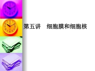 生物一轮复习--第五讲-细胞膜和细胞核