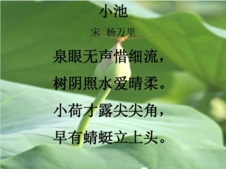 人教版《荷花》PPT