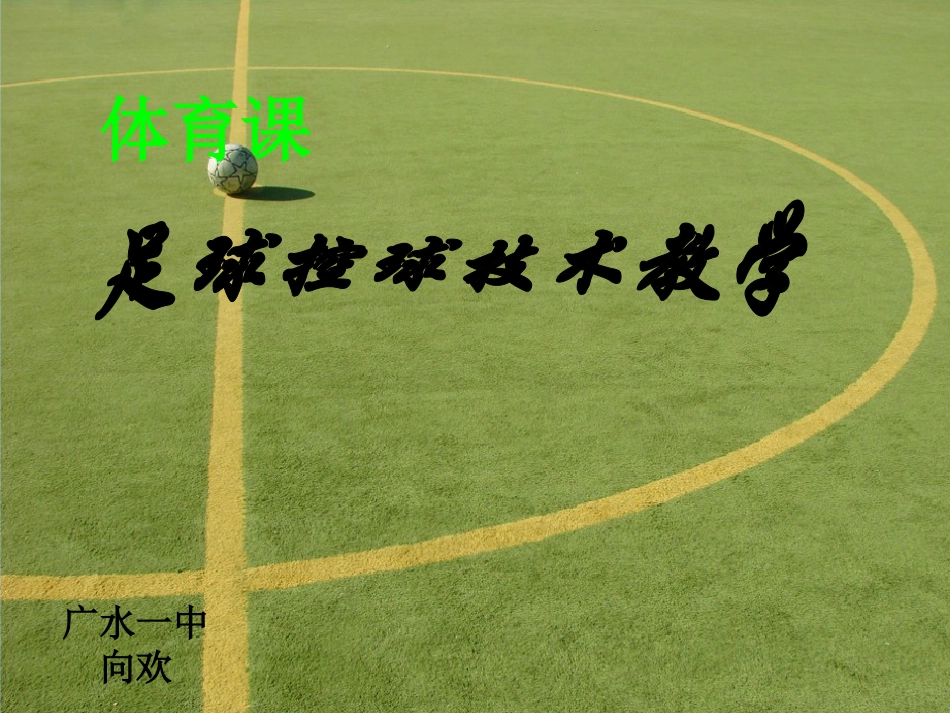 足球控球向欢_第1页