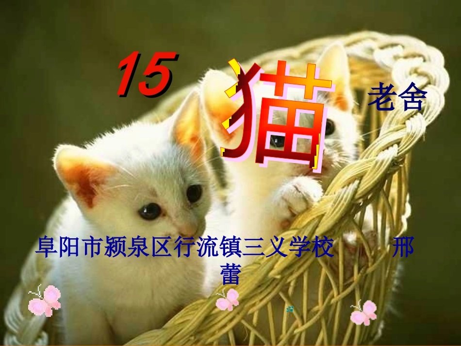 邢蕾四年级语文课件设计《猫》_第1页